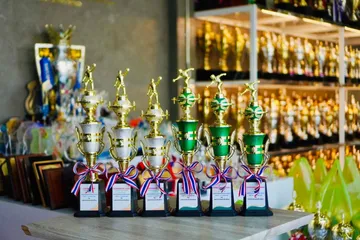 ถ้วยรางวัลพลาสติกอลิตาถ้วยรางวัล11
