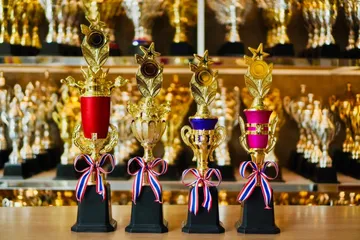 ถ้วยรางวัลพลาสติกอลิตาถ้วยรางวัล13