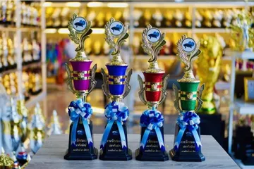 ถ้วยรางวัลพลาสติกอลิตาถ้วยรางวัล21