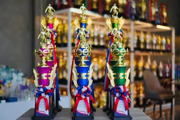 ถ้วยรางวัลพลาสติกอลิตาถ้วยรางวัล31