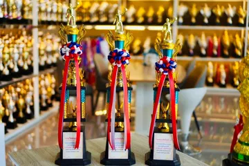 ถ้วยรางวัลพลาสติกอลิตาถ้วยรางวัล3