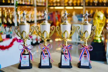 ถ้วยรางวัลพลาสติกอลิตาถ้วยรางวัล50