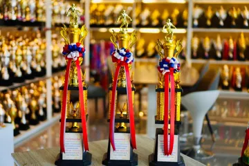 ถ้วยรางวัลพลาสติกอลิตาถ้วยรางวัล6