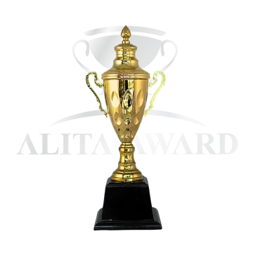 ถ้วยรางวัลโลหะ1902
