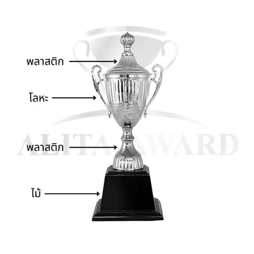 ถ้วยรางวัลโลหะ2013
