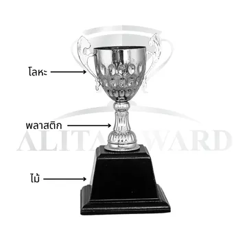 ถ้วยรางวัลโลหะA30