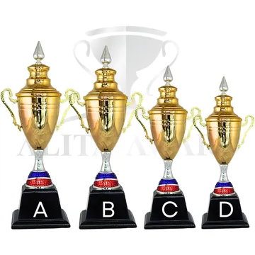 ถ้วยรางวัลโลหะD15