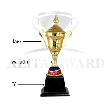 ถ้วยรางวัลโลหะD163
