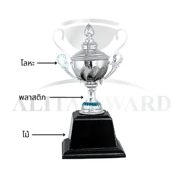 ถ้วยรางวัลโลหะT11