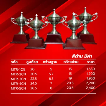 พิวเตอร์ถ้วยพระราชทานอลิตาถ้วยรางวัล17