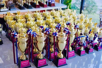 อลิตาถ้วยรางวัลงานด่วน11