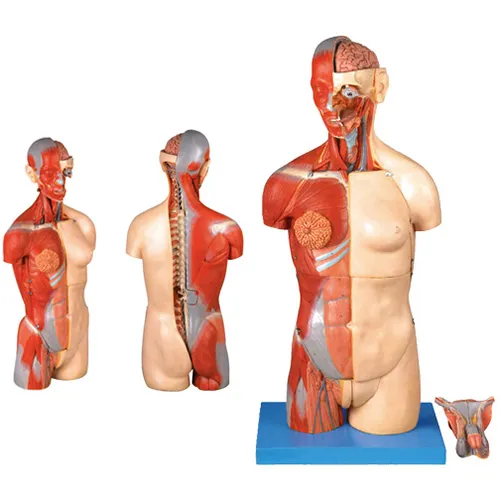 iTopPlus1343133526928