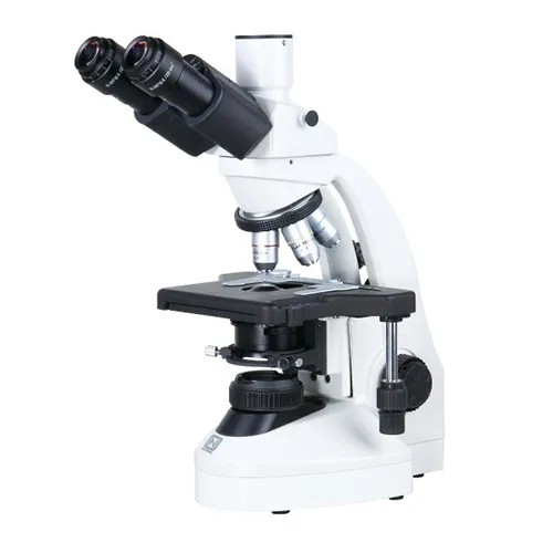 iTopPlus295102119180