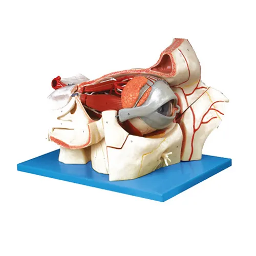 iTopPlus452990653146