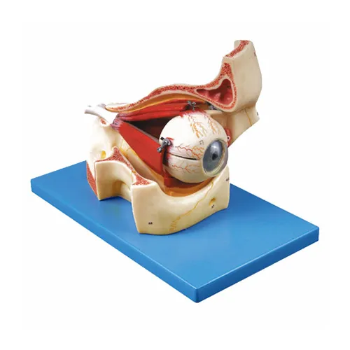 iTopPlus467717067283