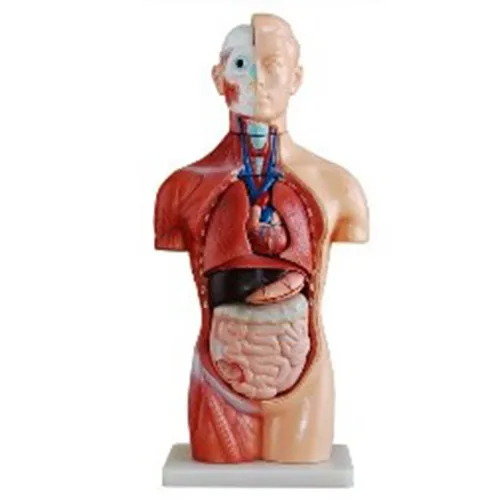 iTopPlus48497211017
