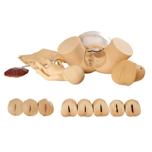 iTopPlus522250858279