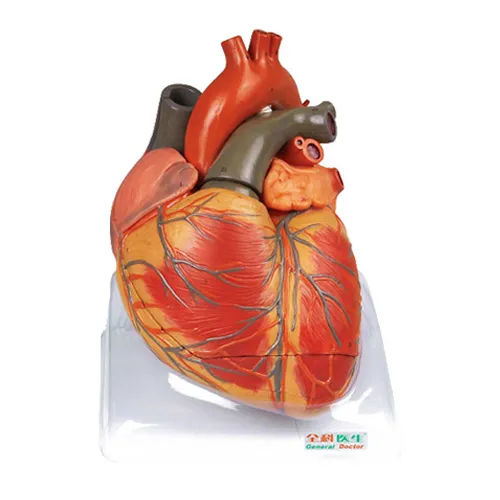 iTopPlus530421475910