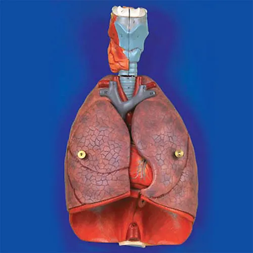 iTopPlus622905529061