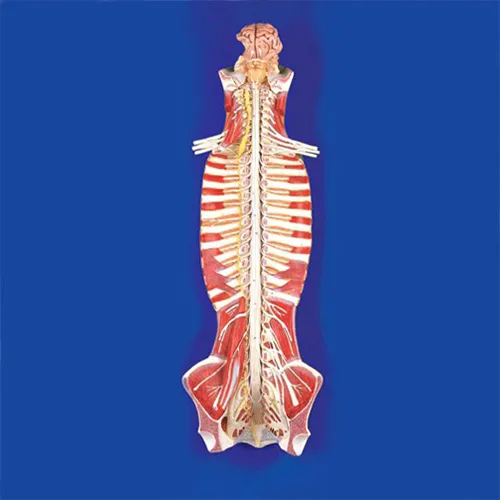 iTopPlus727616459046