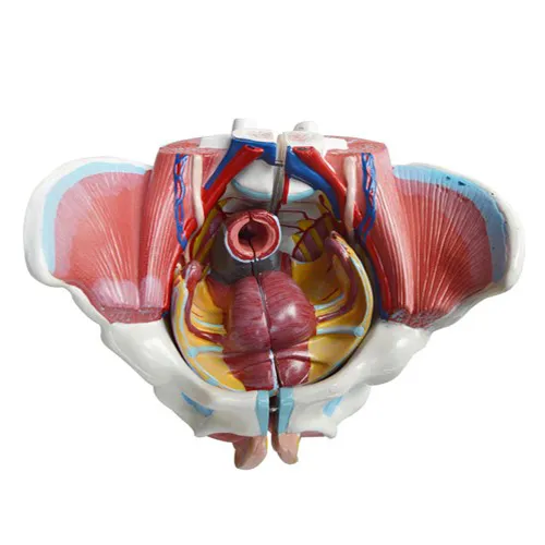 iTopPlus783355563442