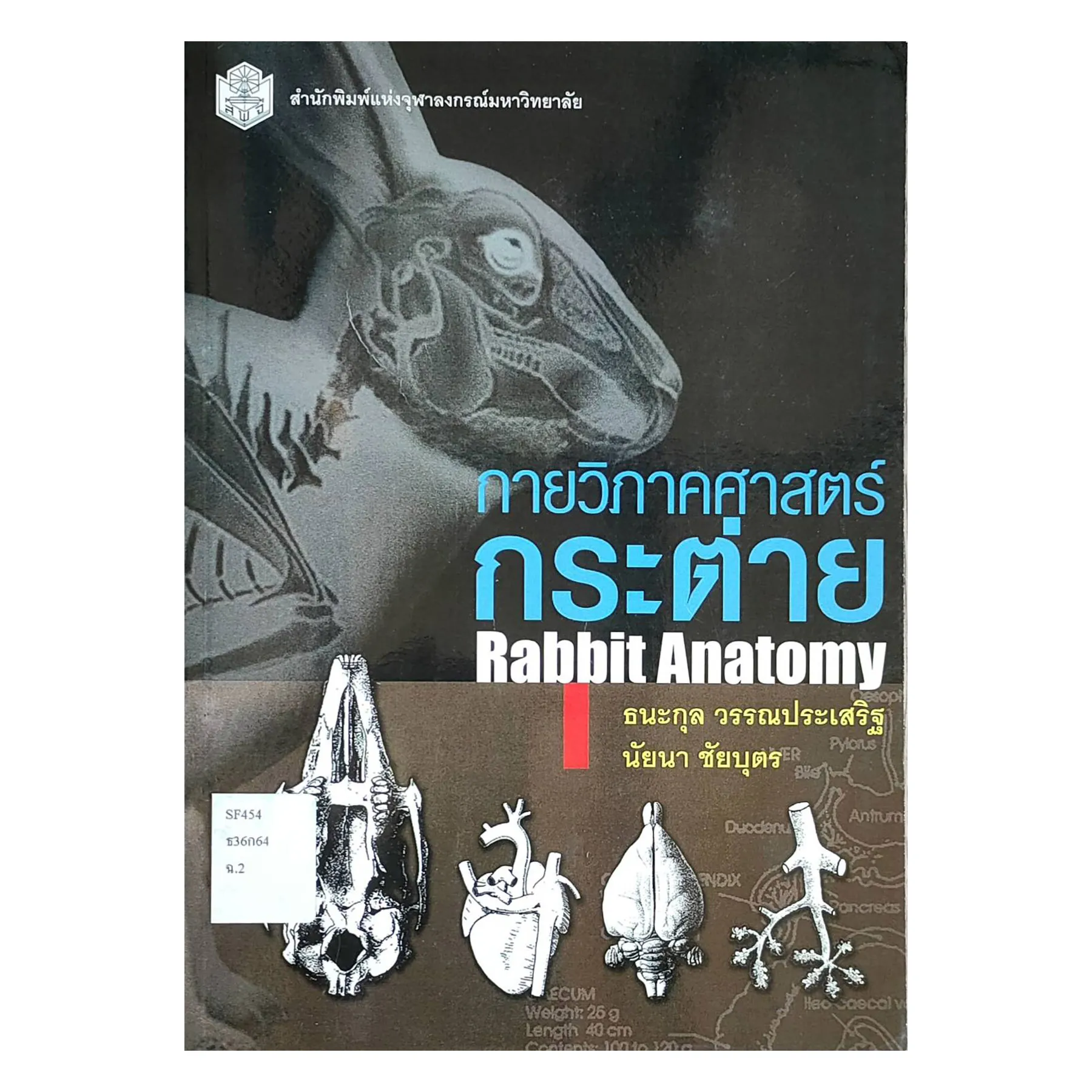 กายวิภาคศาสตร์กระต่ายRabbitAnatomy