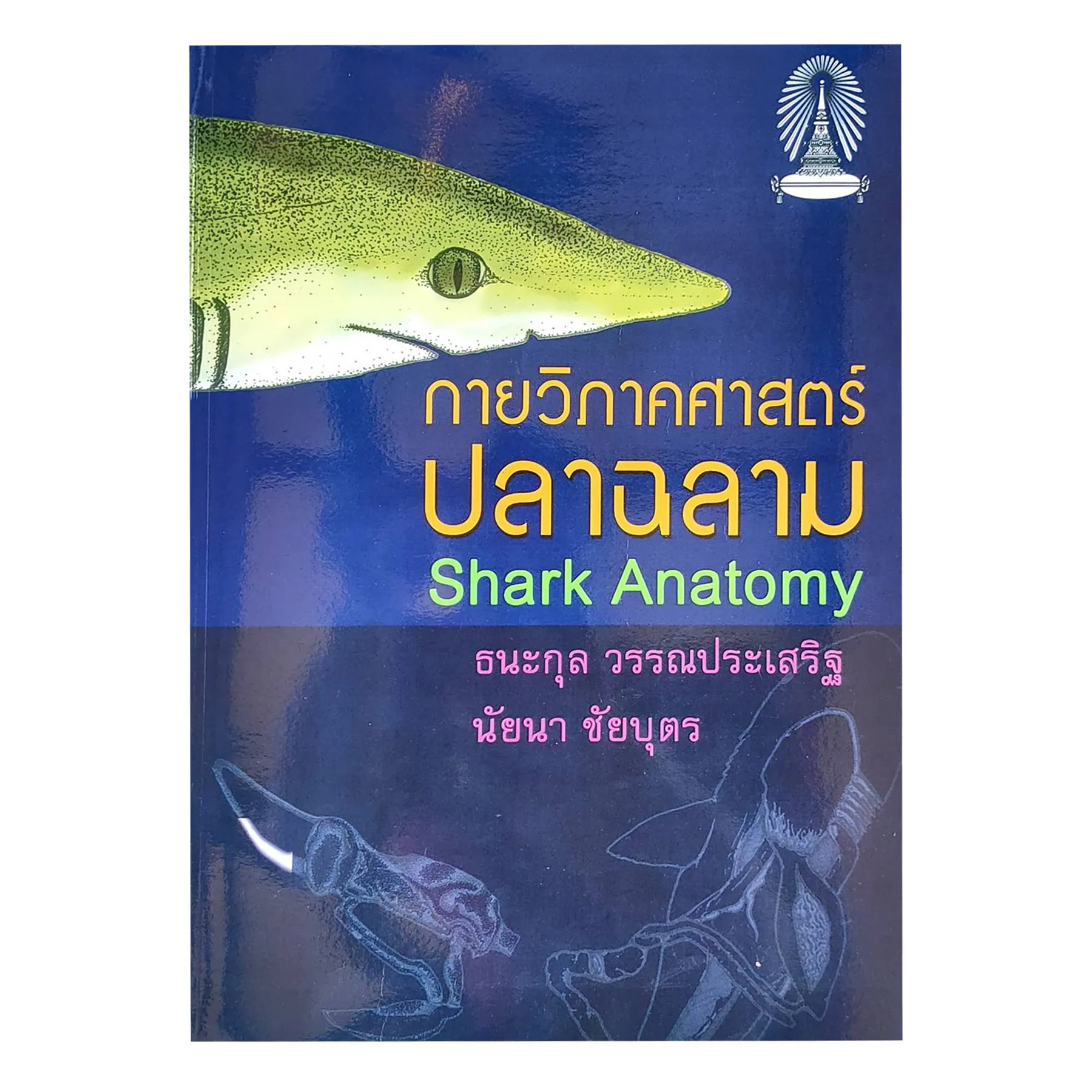 กายวิภาคศาสตร์ปลาฉลามSharkAnatomy