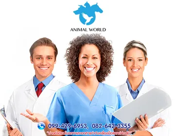 iTopPlus727631490907