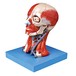 iTopPlus870058303478