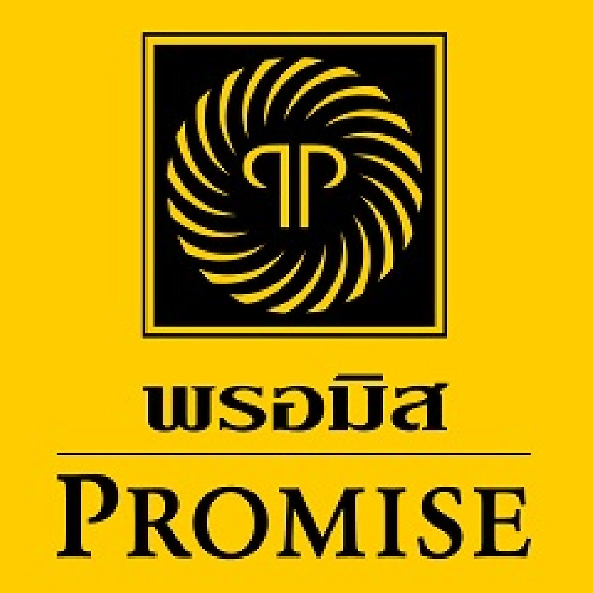 logopromise-01