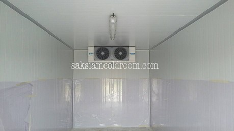 iTopPlus810699036713