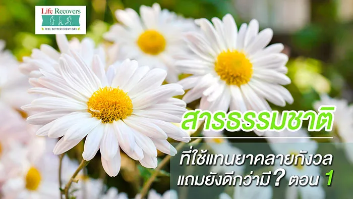 ---1~1