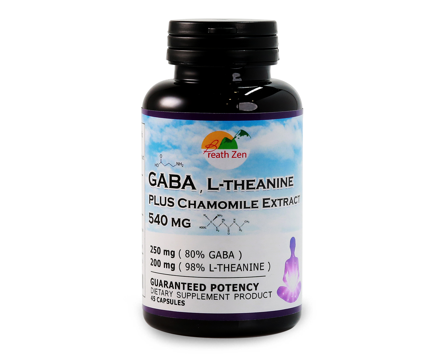 GABA, LTHEANINE PLUS