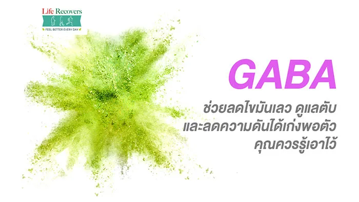 GABA-ช่วยลดไขมันเลว