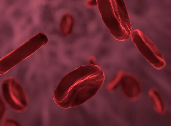 red-blood-cells-31882231920
