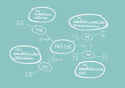 Th0Cell