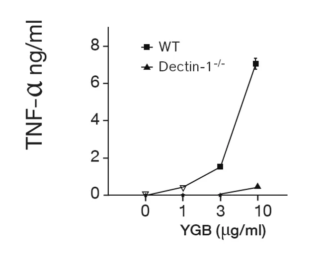 YGB4
