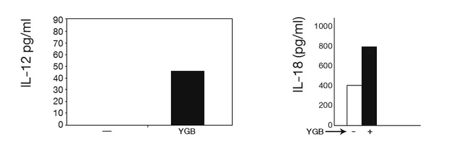 YGB