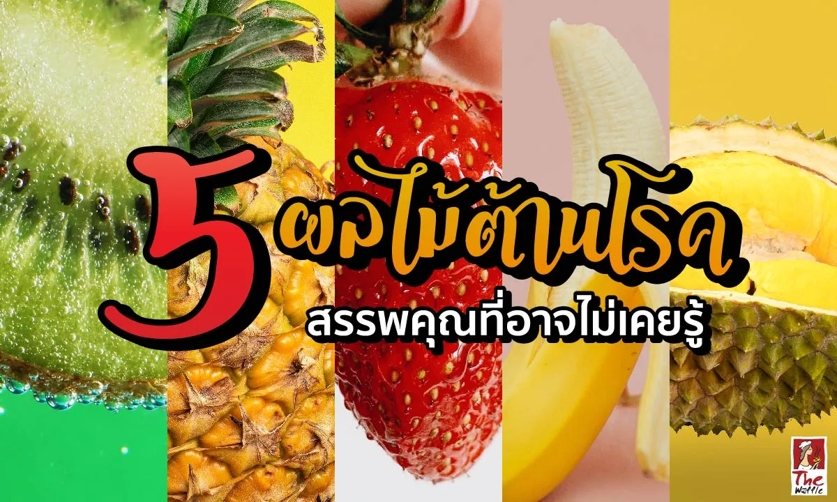 ผลไม้ต้านโรค-The-Waffle-ขนมวาเฟิล-เดอะวอฟเฟิลWeb-0