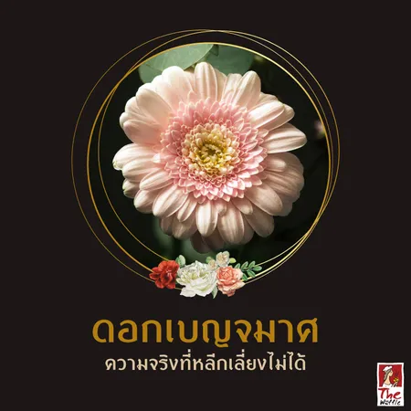Snackbox-The-Waffle-ขนมจัดเบรค-งานศพ-ดอกไม้จัดงานศพ09