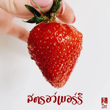 ผลไม้ต้านโรค-The-Waffle-ขนมวาเฟิล-เดอะวอฟเฟิลWeb-03