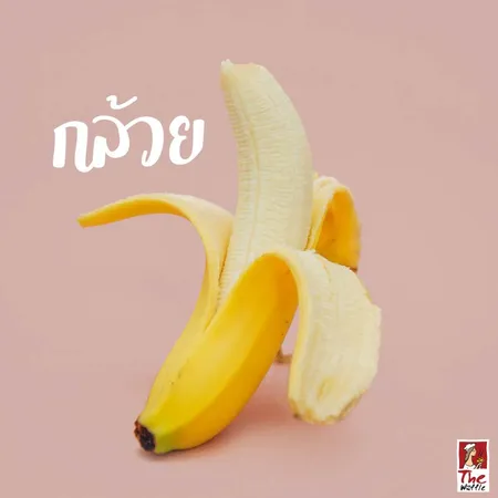 ผลไม้ต้านโรค-The-Waffle-ขนมวาเฟิล-เดอะวอฟเฟิลWeb-04