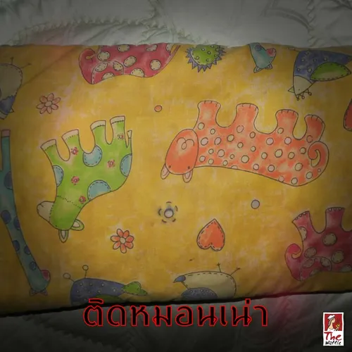 พฤติกรรมแปลกๆ-แอบทำคนเดียว06-เดอะวอฟเฟิลแฟรนไชส์
