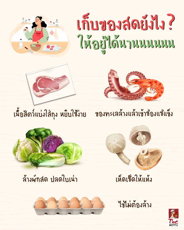 TheWaffleเก็บของสดถนอมอาหารเคล็ดลับทำครัว1