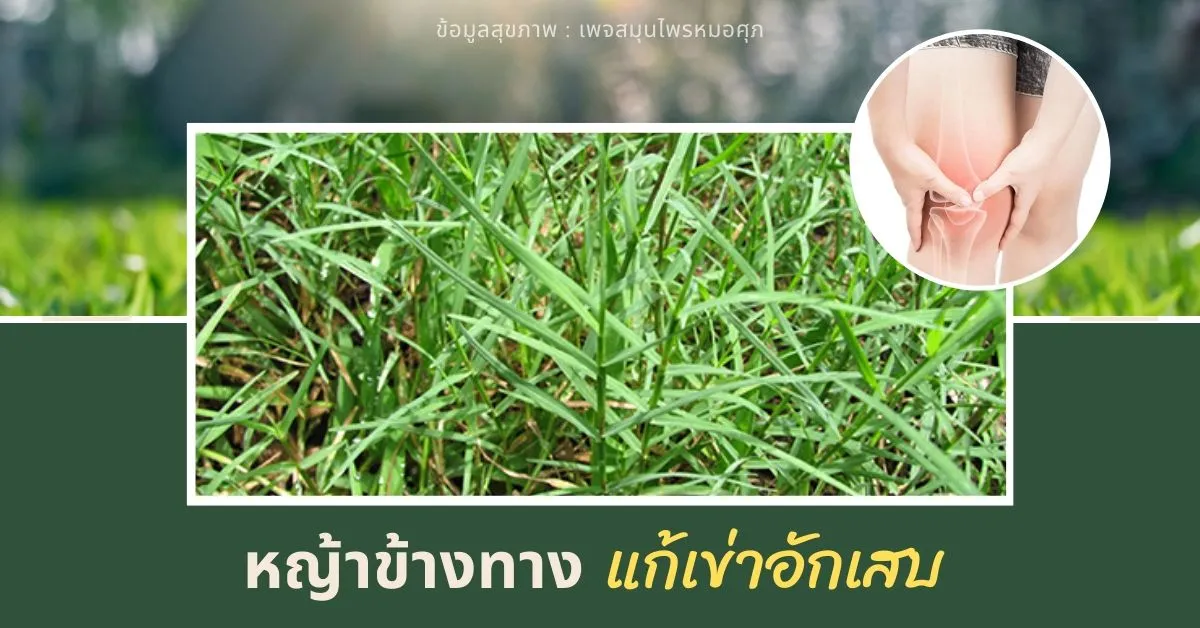 FlowerPowerPromo!(25)