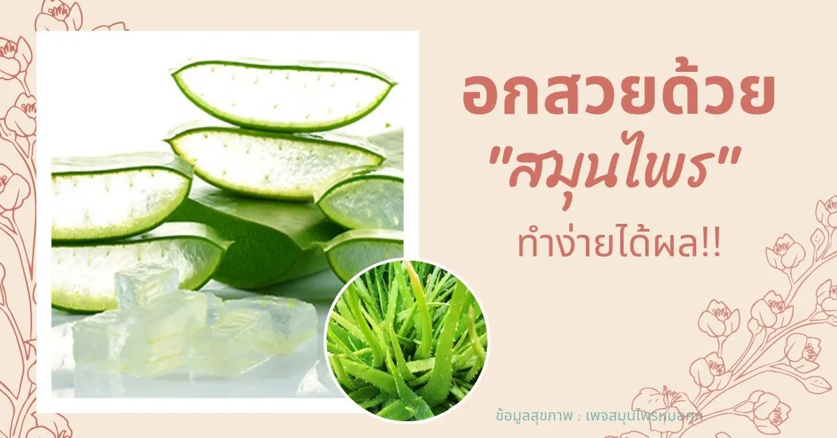FlowerPowerPromo!(6)