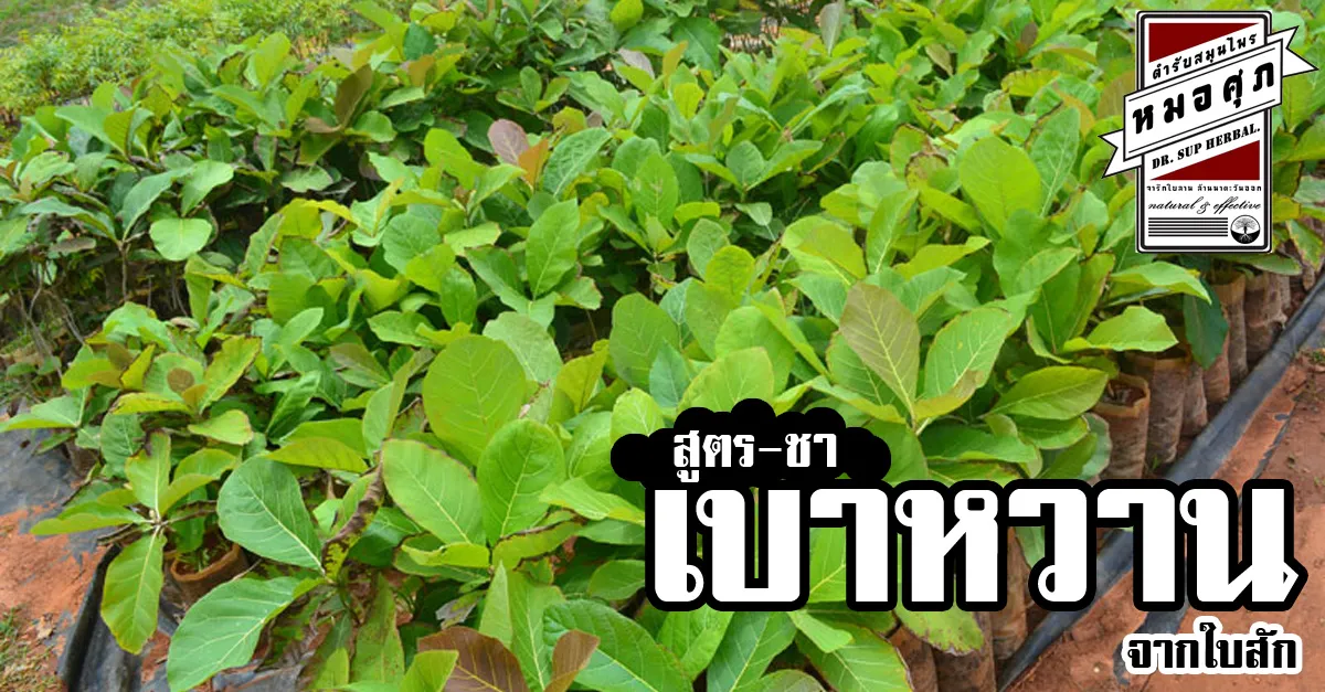 iTopPlus1281377401934