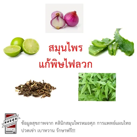 iTopPlus1294669662770