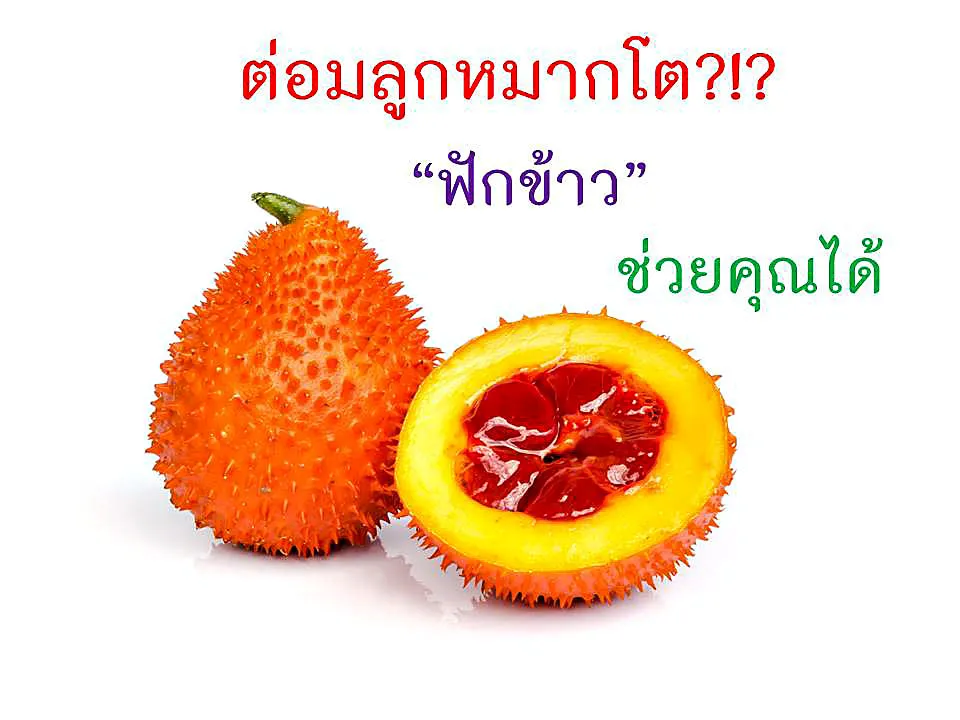 ต่อมลูกหมากโต ฟักข้าวช่วยได้