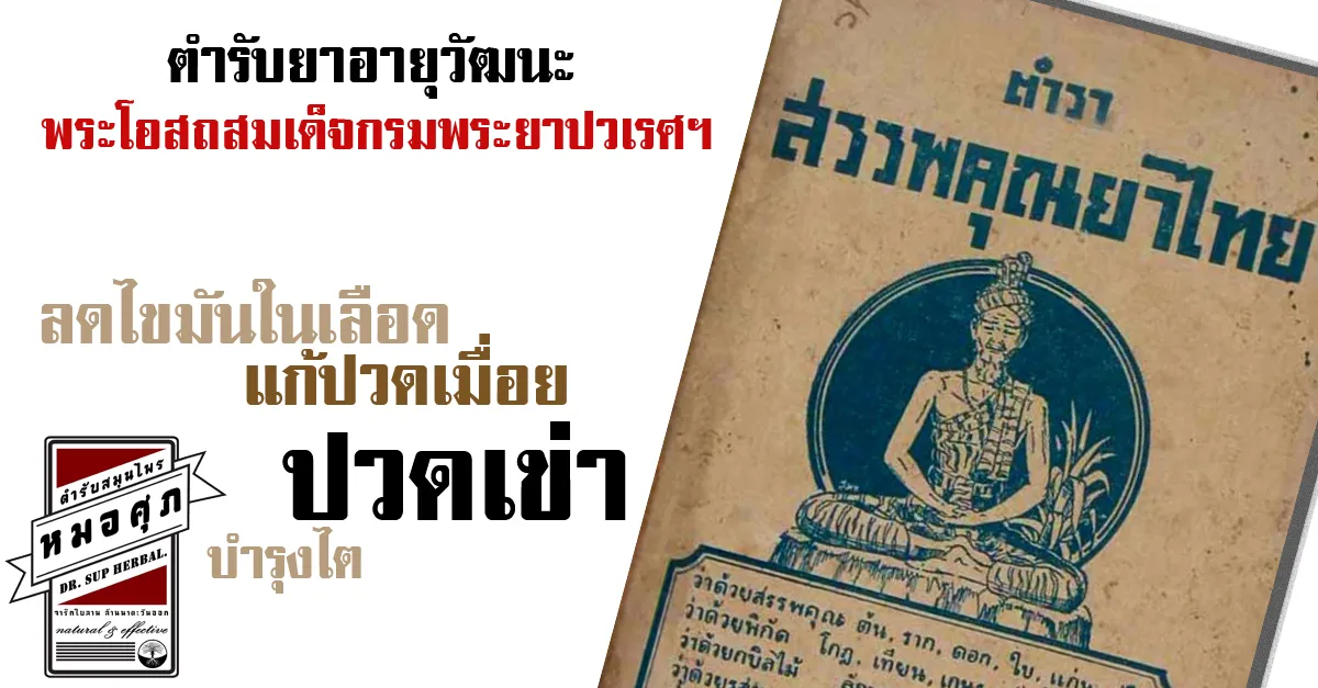 iTopPlus1331110300211